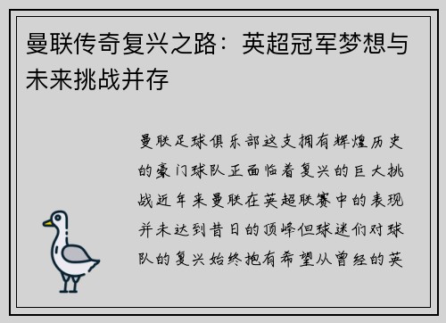 曼联传奇复兴之路：英超冠军梦想与未来挑战并存
