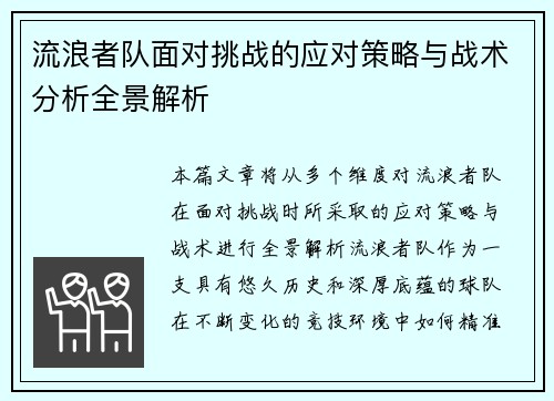 流浪者队面对挑战的应对策略与战术分析全景解析